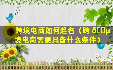 跨境电商如何起名（跨 🌵 境电商需要具备什么条件）